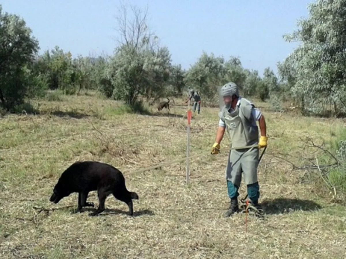 Ötən ay Azərbaycanda aşkarlanan mina və partlamamış hərbi sursatların sayı açıqlanıb