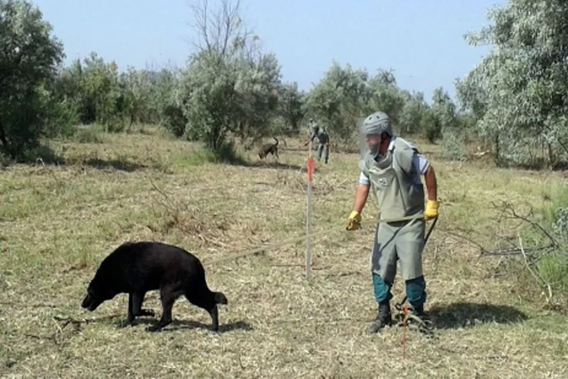 Ötən ay Azərbaycanda aşkarlanan mina və partlamamış hərbi sursatların sayı açıqlanıb