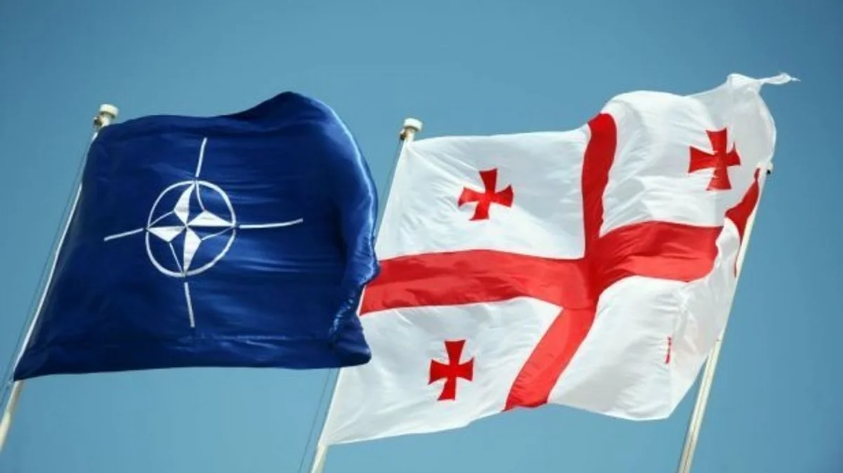 Gürcüstan-NATO əməkdaşlığının gücləndirilməsi yolları axtarılır