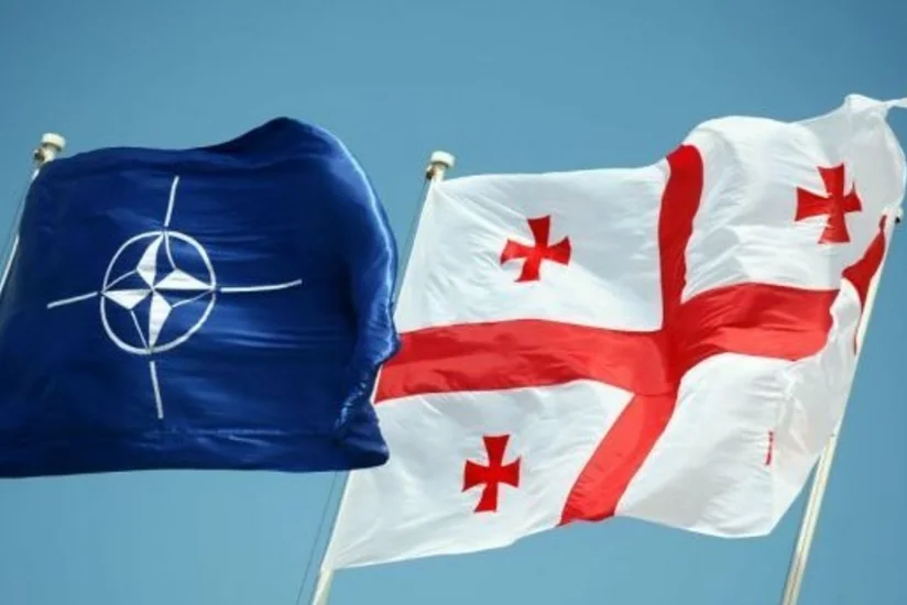 Gürcüstan-NATO əməkdaşlığının gücləndirilməsi yolları axtarılır