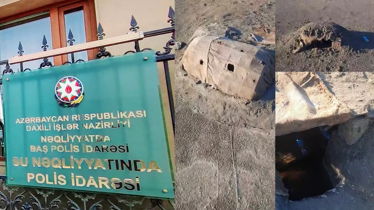 Qəmər Adaları vətəndaşı Azərbaycanda “Qırmızı” kitaba adı düşən çöl quşlarını qanunsuz ovlayıb