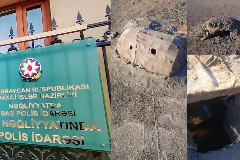 Qəmər Adaları vətəndaşı Azərbaycanda “Qırmızı” kitaba adı düşən çöl quşlarını qanunsuz ovlayıb