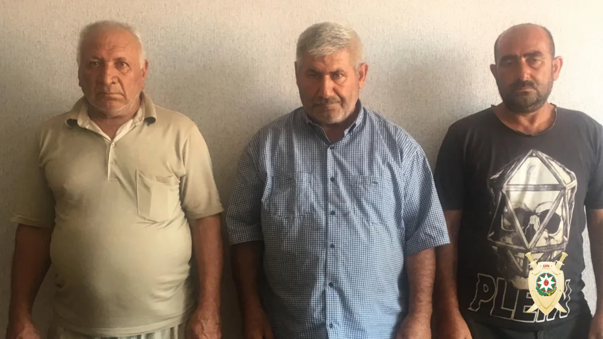 Cəlilabadda 38 baş iribuynuzlu mal-qara oğurlayaraq satan şəxslər saxlanılıblar