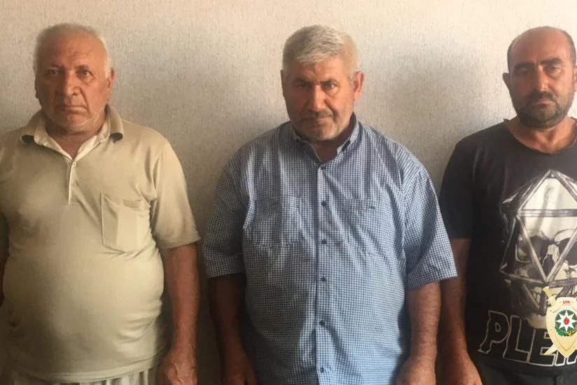 Cəlilabadda 38 baş iribuynuzlu mal-qara oğurlayaraq satan şəxslər saxlanılıblar