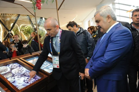 AVRO-2016 kubokunun Azərbaycan pavilyonunda nümayişindən - FOTOREPORTAJ