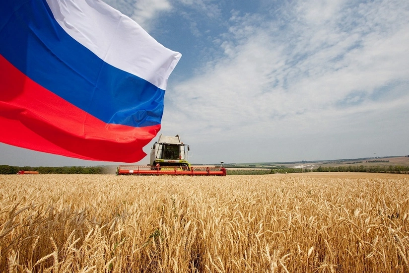 Rusiya bərk buğda növlərinin ixracını dayandırıb