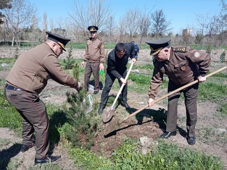 Gəncədə “Heydər Əliyev İli” çərçivəsində ağacəkmə aksiyası keçirilib