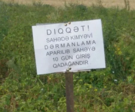 Tovuzda kartof güvəsinə qarşı kimyəvi mübarizə tədbirləri aparılır