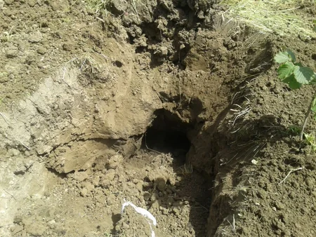 ​Tərtərdə 4 ədəd qrad raketinin hissəsi aşkar edilib