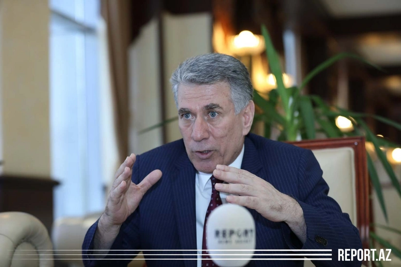 Parlamentin komitə sədri: “Polis üzərinə qoyulan vəzifələri yerinə yetirməklə məşğuldur”