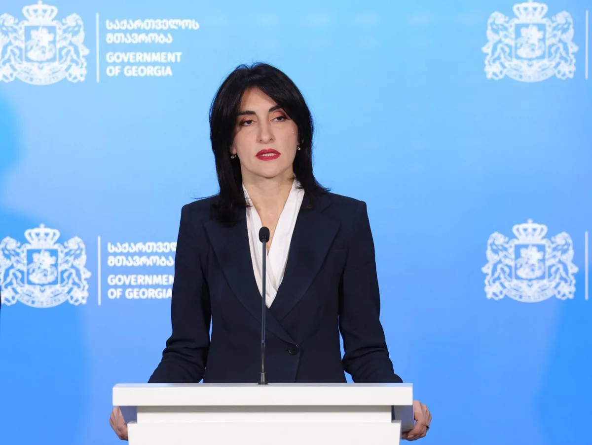 Gürcüstanın XİN başçısı yanvarın 16-da Azərbaycana gələcək