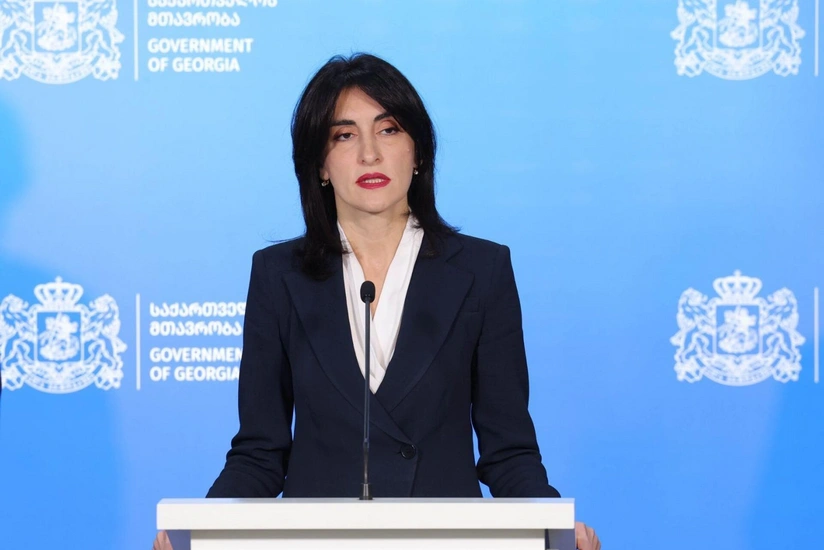 Gürcüstanın XİN başçısı yanvarın 16-da Azərbaycana gələcək