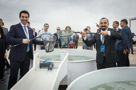 50,000 sturgeon released into the Caspian Sea by Azerbaijan fish farm to mark International Day for Biological Diversity