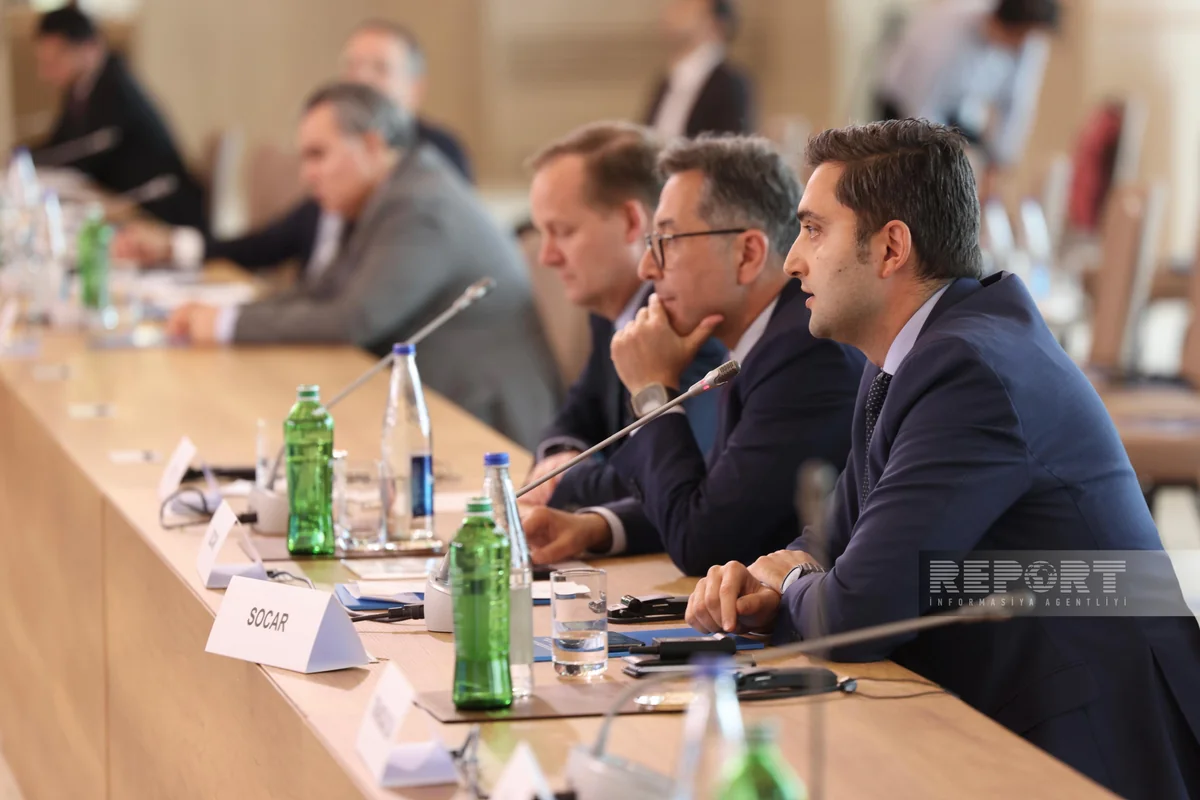 “SOCAR Green”in direktoru: Çinli tərəfdaşlarla dəniz küləyindən istifadə imkanlarını araşdırırıq