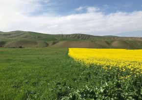 Azerbaijani klondike: Armenians must compensate for damage from exploitation of deposits in Karabakh