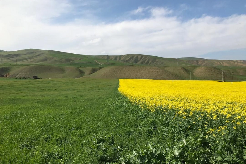 Azerbaijani klondike: Armenians must compensate for damage from exploitation of deposits in Karabakh
