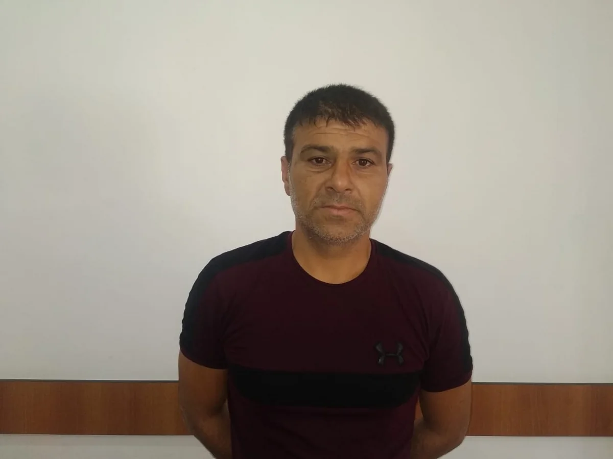 Neftçalada 3 min manatlıq dəniz məhsulları oğurlandı