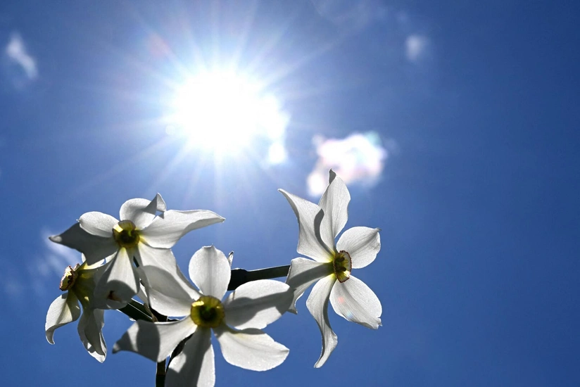 В субботу температура воздуха повысится до 24 градусов