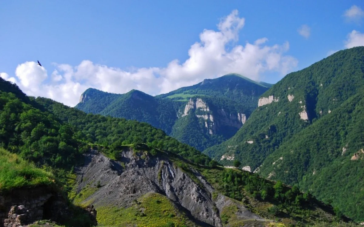 Kəlbəcərə qanunsuz daxil olmaq istəyənlər saxlanılıb