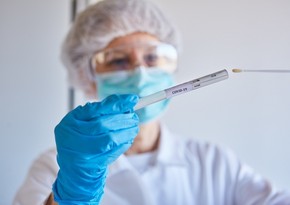 Azerbaijan reports 11 new COVID-19 cases
