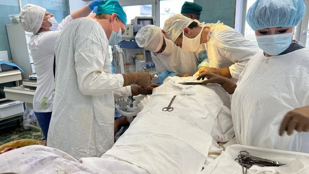 Elderly man mauled by bear undergoes 6-hour surgery in Bashkortostan