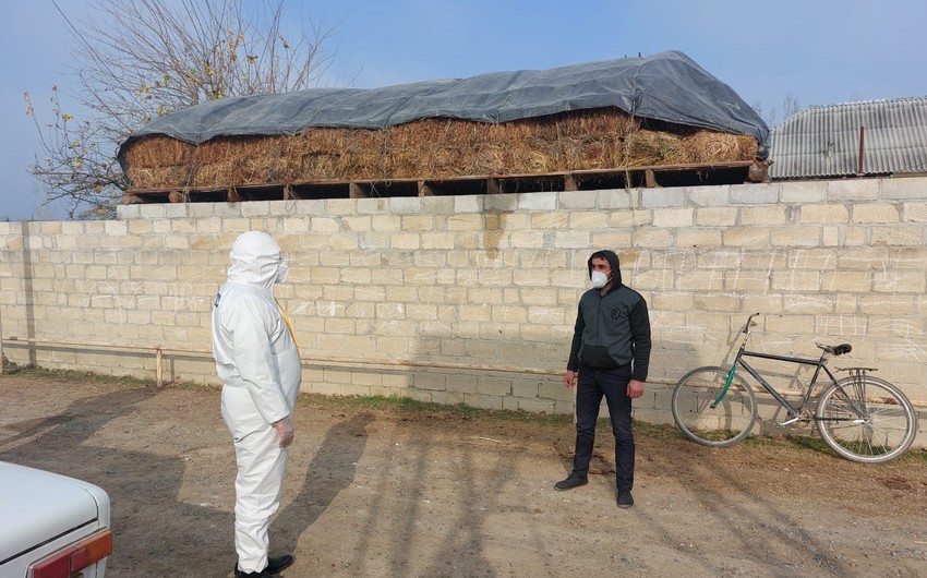 В Сабирабаде задержали больного коронавирусом