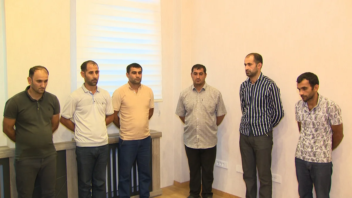 “Hirkan” Milli Parkında ağacları kütləvi şəkildə kəsən dəstə üzvlərinə qarşı əməliyyat keçirilib