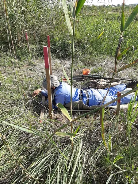 ANAMA: Sentyabrda ölkə ərazisində 579 ədəd partlamamış hərbi sursat zərərsizləşdirilib - FOTO