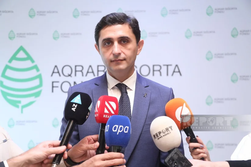 Azərbaycanda quraqlıq nəticəsində dəyən ziyanı Aqrar Sığorta Fondu ödəyə bilər