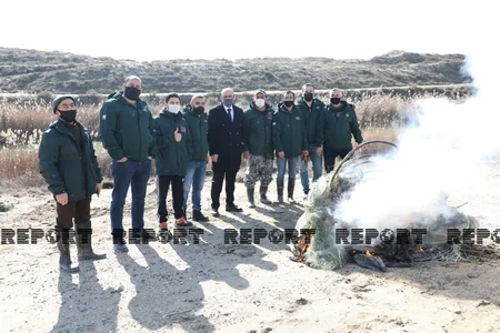 Salyanda qanunsuz balıq ovlayanlara qarşı reyd keçirilib - YENİLƏNİB