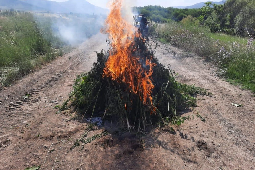 İşğaldan azad edilən ərazidə narkotik aşkarlandı
