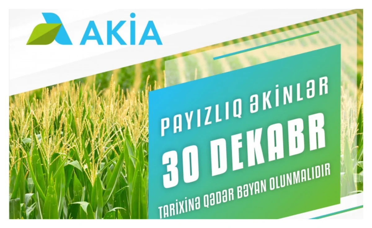 Azərbaycanda payızlıq əkin bəyanlarının qəbuluna başlanılıb