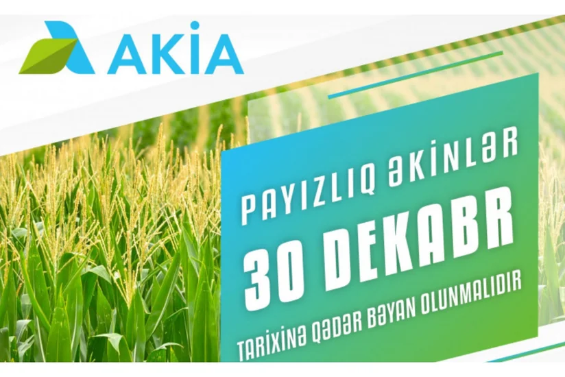 Azərbaycanda payızlıq əkin bəyanlarının qəbuluna başlanılıb
