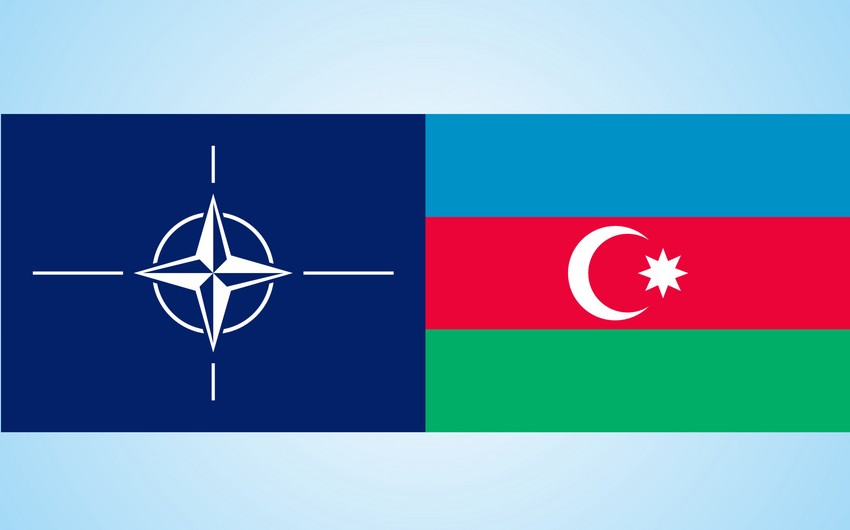 ​NATO representative: Our relations with Azerbaijan are unique