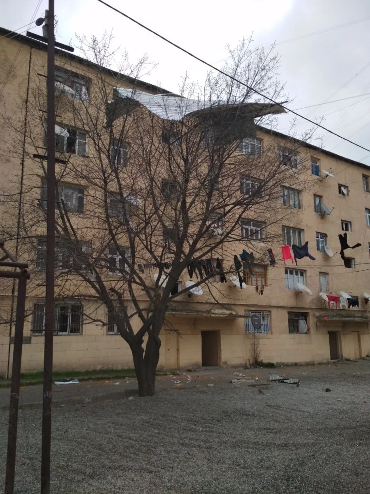 Bərdə rayonunda əsən güclü külək bir sıra fəsadlar törədib - FOTO