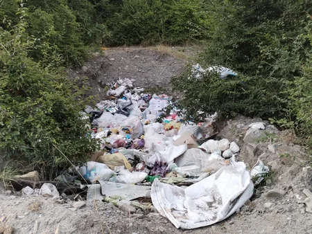 Şəkidə bələdiyyə sədri cəzalandırılıb