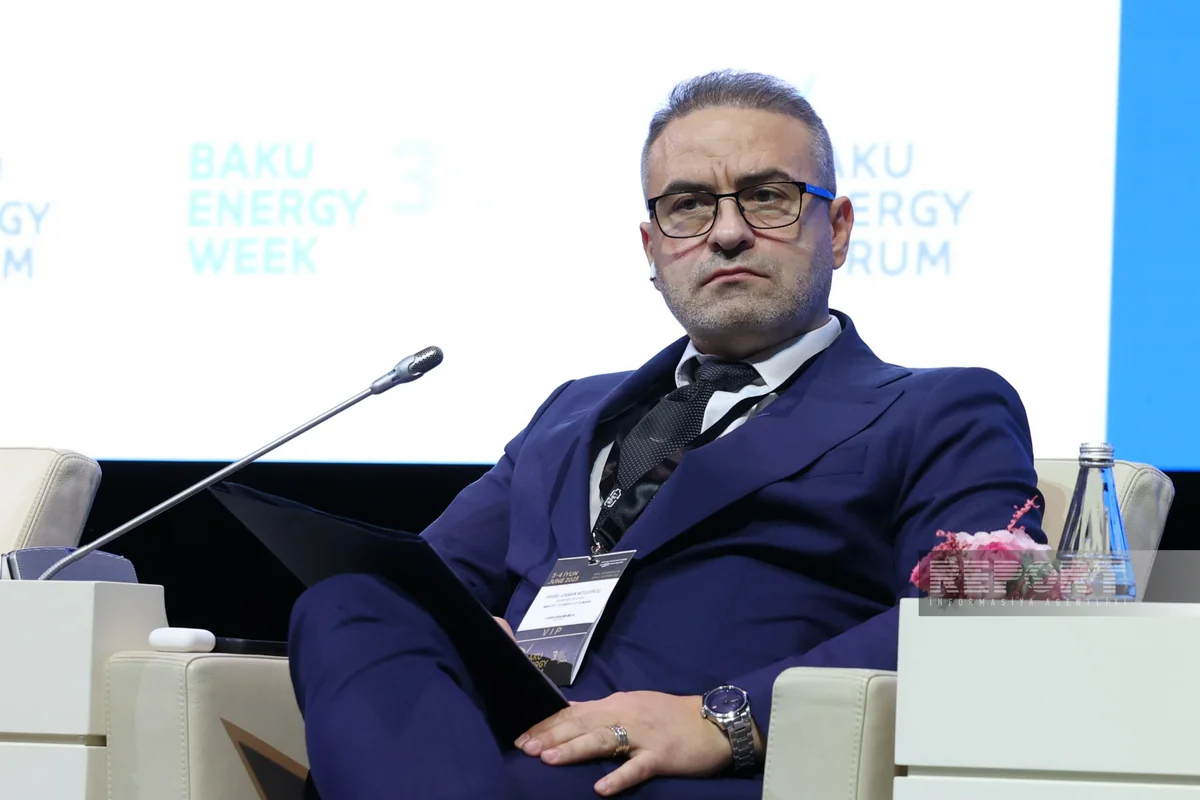 Rumıniya Energetika Nazirliyi: Gürcüstan və Azərbaycanla əməkdaşlığımız Yaşıl Dəhliz layihədə reallaşacaq