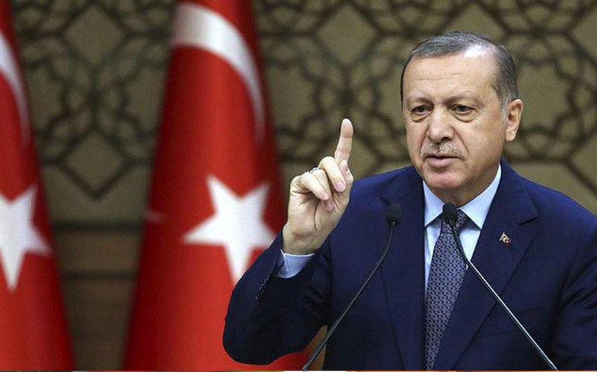 Ərdoğan meşə yanğınlarının baş verdiyi bölgələrə səfər edəcək 