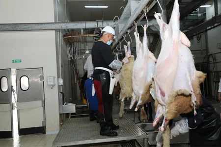 Qurban bayramına görə heyvan kəsimi və satışı məntəqələrində monitorinqlər keçirilir