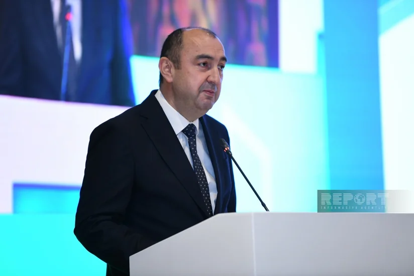 Official: Environmental protection is priority in Azerbaijan's economic development concept