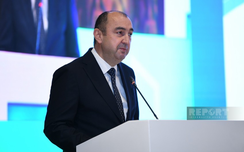 Nazir müavini: Azərbaycanın iqtisadi inkişaf konsepsiyasında ətraf mühitin mühafizəsi əsas prioritetlərdəndir