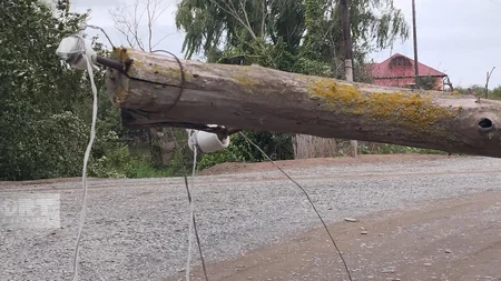 Güclü külək və yağış Xaçmaza ziyan vurub, kəndlər işıqsız qalıb