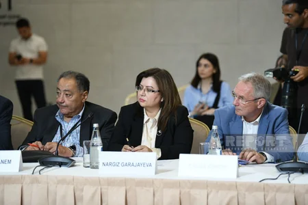 Zəngilanda “COP29-a aparan yol: Dayanıqlı və davamlı gələcək” mövzusunda yüksək səviyyəli görüş davam edir