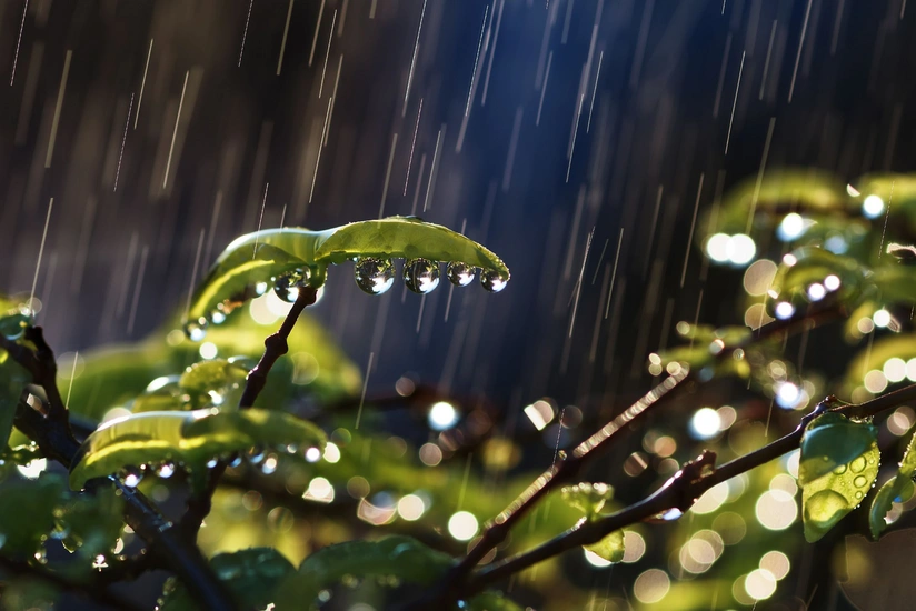 Bəzi rayonlarda hava qeyri-sabit keçəcək, temperatur 3-6 dərəcə aşağı enəcək