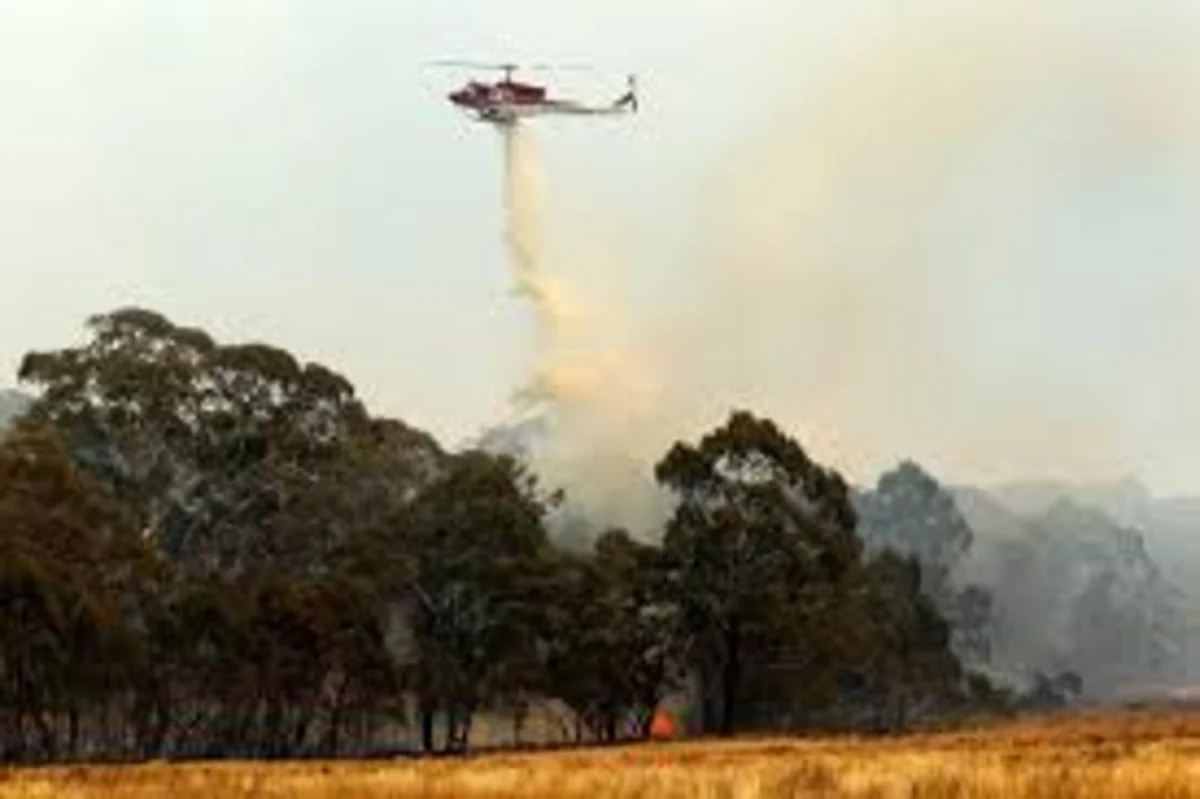 Avstraliyada meşə yanğınları nəticəsində onlarla ev məhv edilib