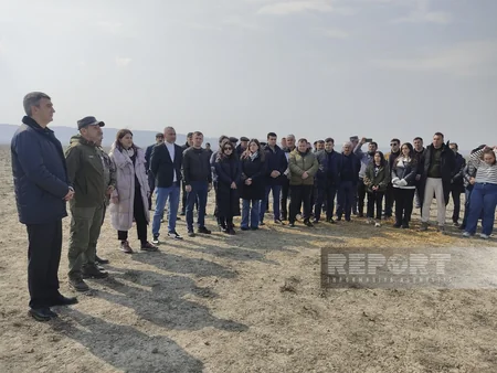 Acınohur düzünə növbəti dəfə ceyranlar buraxılıb