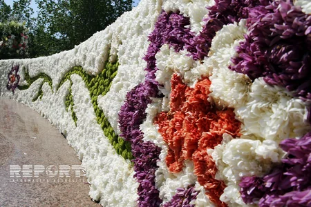 Bakıda Gül bayramı keçirilir - FOTOREPORTAJ