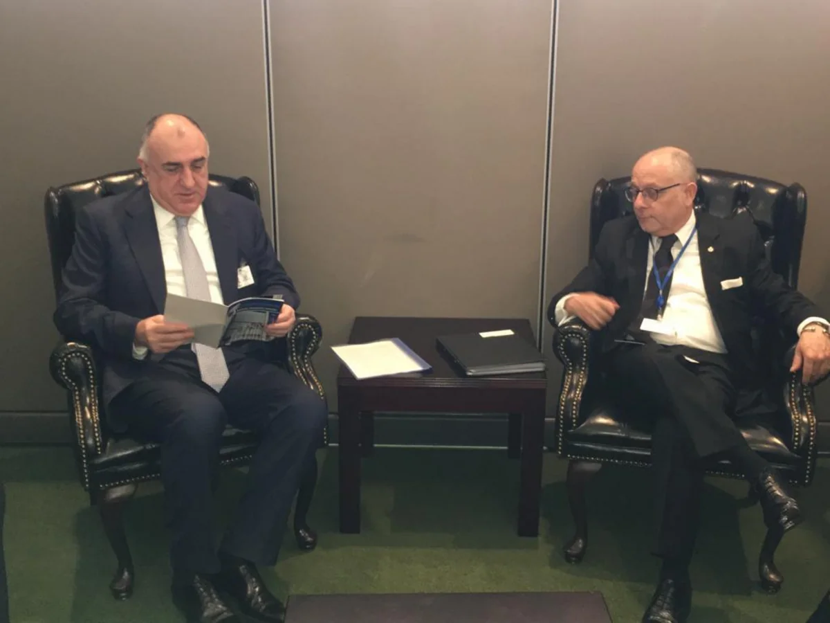Elmar Məmmədyarov argentinalı həmkarı ilə görüşüb