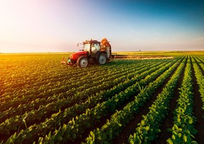 Azerbaijan boosts agricultural spending by 27% over five years