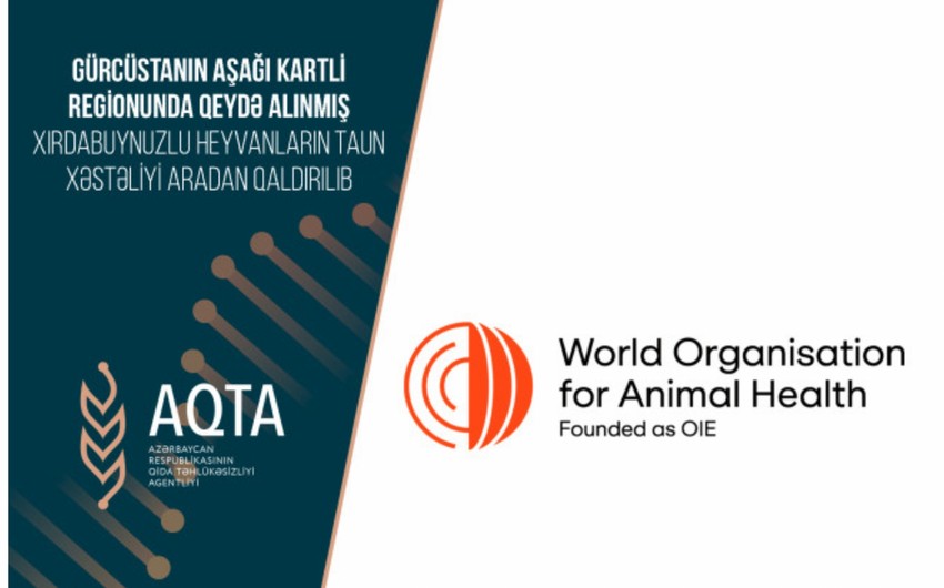 Azərbaycandan Gürcüstanın Aşağı Kartli regionuna tətbiq edilmiş məhdudiyyət aradan qaldırılıb